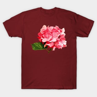 One Hydrangea Cluster T-Shirt